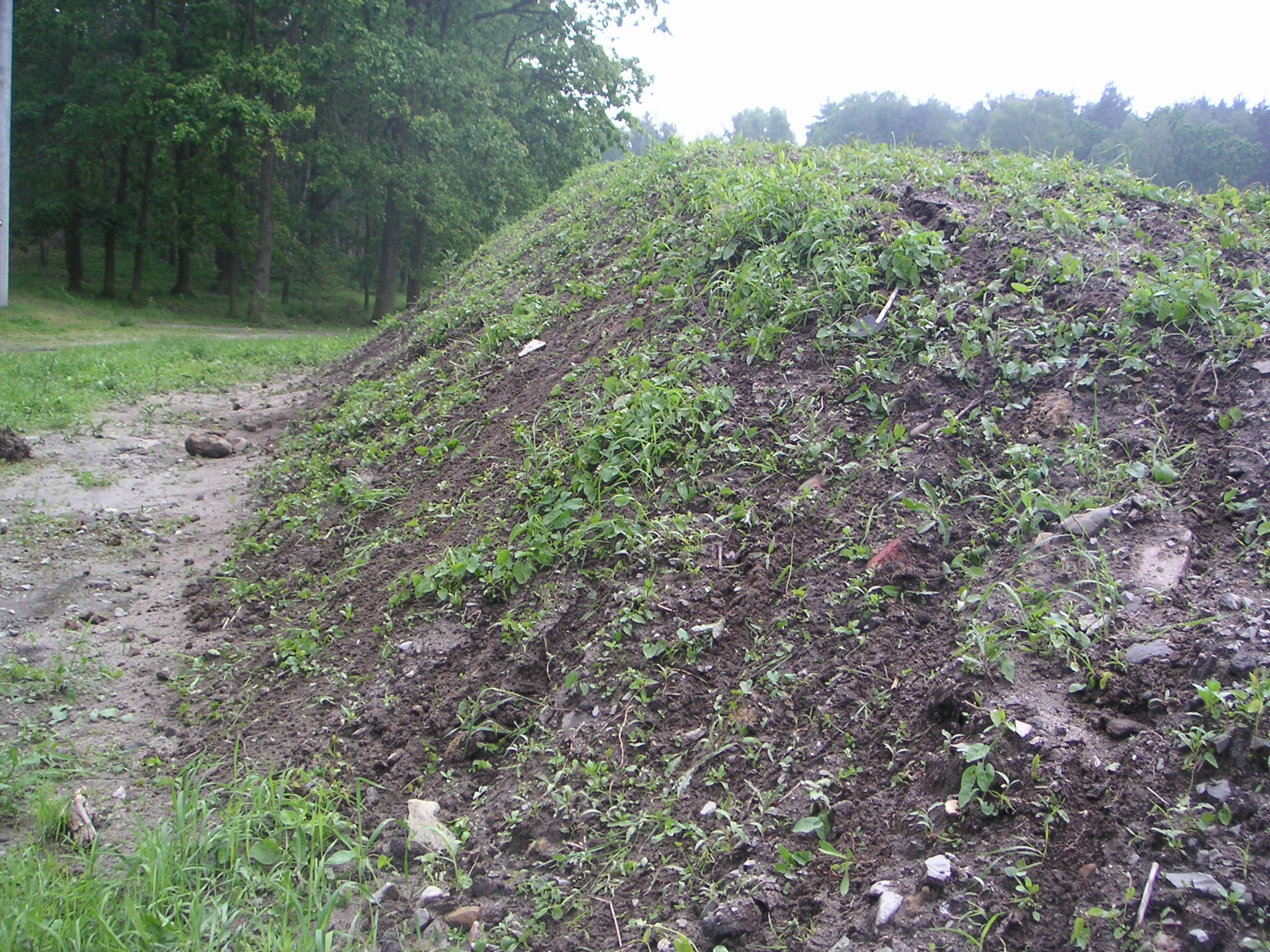 PICT0003.JPG